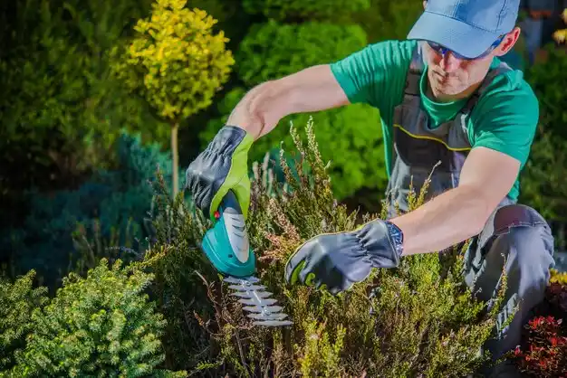 landscaping services Sturgeon